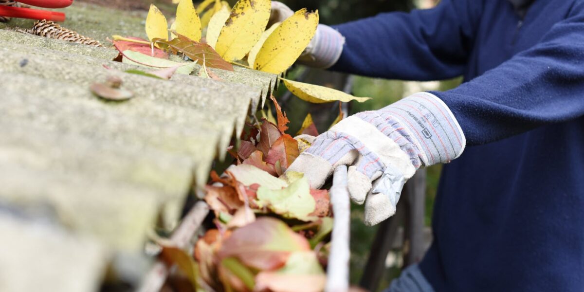 How to Prepare Your Home for Fall: Tips from an Insurance Perspective