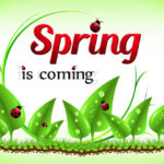 Spring into Safety 10 Essential Tips to Prep Your Home for the Season