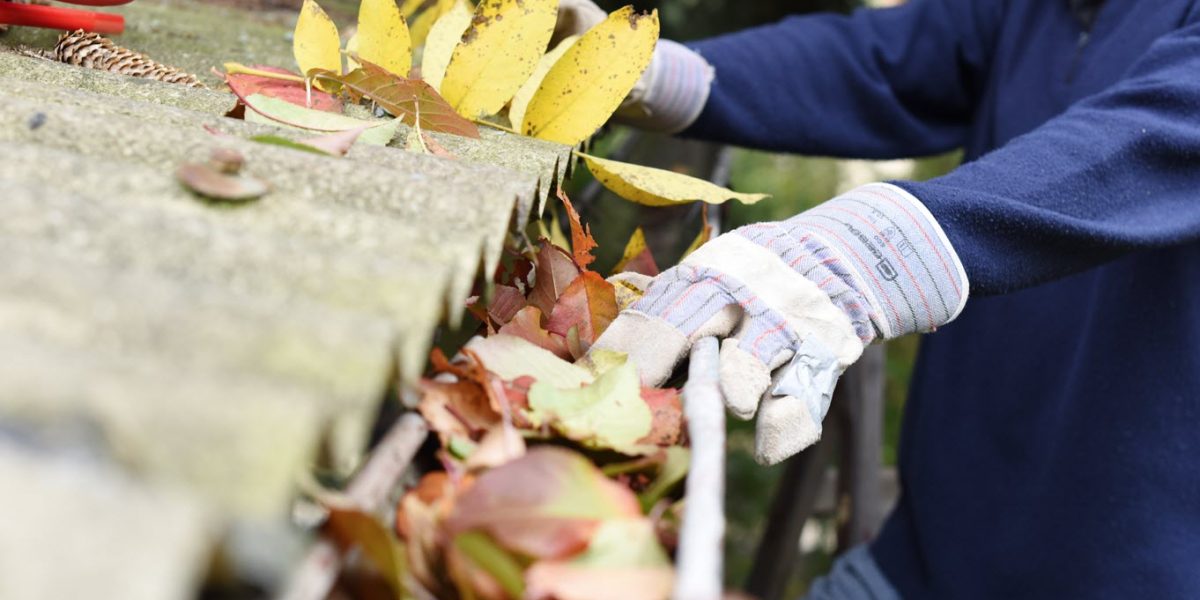 Welcome Spring with These Essential Home Maintenance Tips